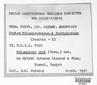 Melampsora lini image